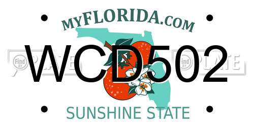 WCD502 Florida License Plate