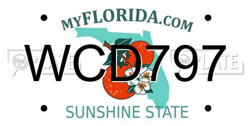 WCD797 Florida License Plate