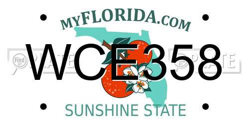 WCE358 Florida License Plate
