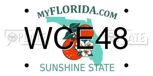 WCE48 Florida License Plate