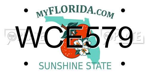 WCE579 Florida License Plate