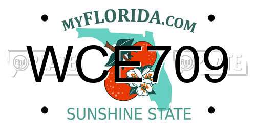 WCE709 Florida License Plate