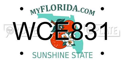 WCE831 Florida License Plate