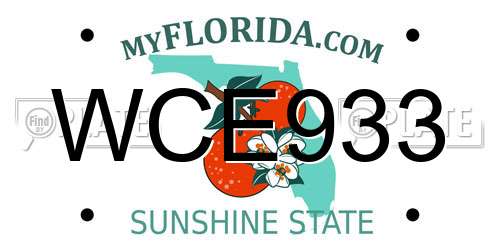 WCE933 Florida License Plate