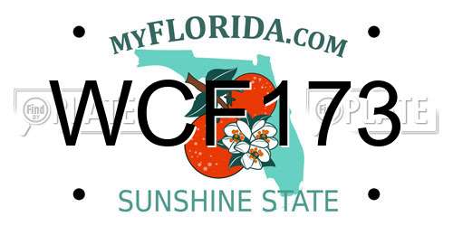 WCF173 Florida License Plate