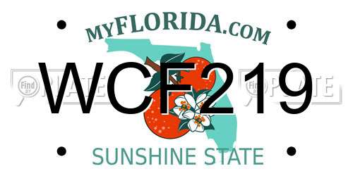WCF219 Florida License Plate