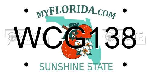 WCG138 Florida License Plate