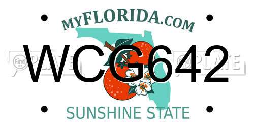 WCG642 Florida License Plate