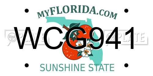 WCG941 Florida License Plate