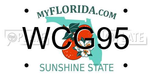WCG95 Florida License Plate
