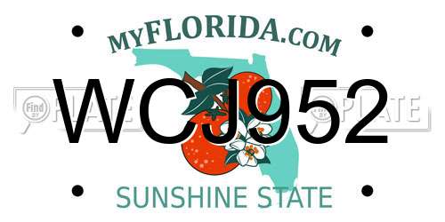WCJ952 Florida License Plate