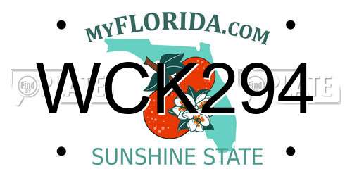 WCK294 Florida License Plate