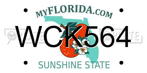 WCK564 Florida License Plate