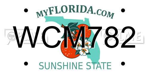 WCM782 Florida License Plate