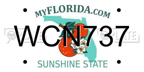 WCN737 Florida License Plate