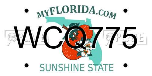WCQ775 Florida License Plate