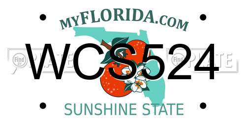 WCS524 Florida License Plate