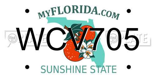WCV705 Florida License Plate