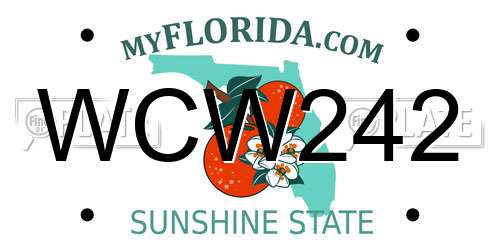 WCW242 Florida License Plate