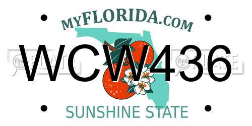 WCW436 Florida License Plate