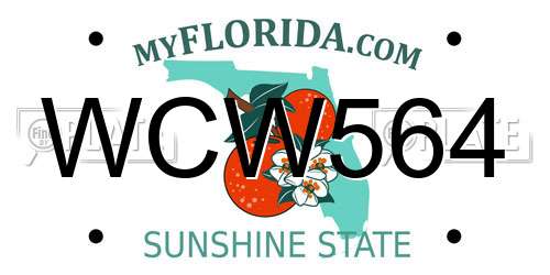 WCW564 Florida License Plate
