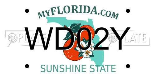WD02Y Florida License Plate