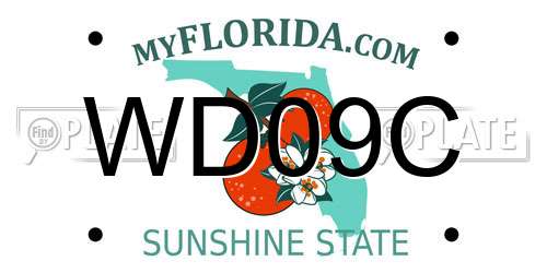 WD09C Florida License Plate