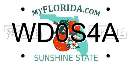 WD0S4A Florida License Plate