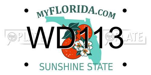 WD113 Florida License Plate