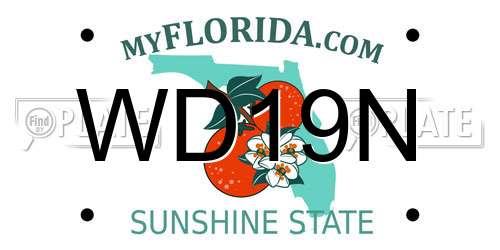 WD19N Florida License Plate