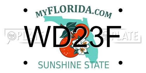 WD23F Florida License Plate