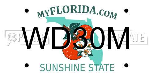 WD30M Florida License Plate