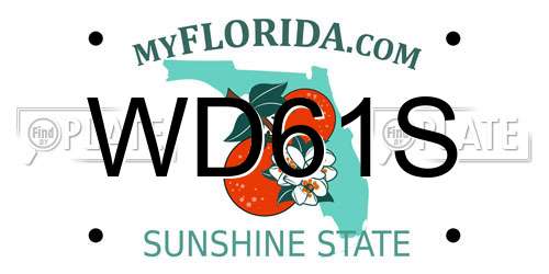 WD61S Florida License Plate