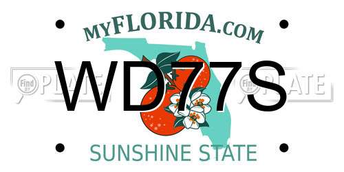 WD77S Florida License Plate