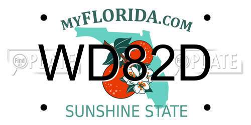 WD82D Florida License Plate