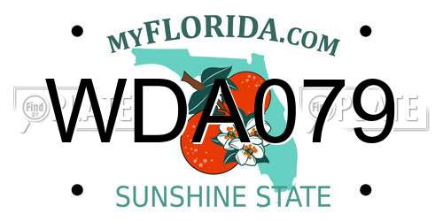 WDA079 Florida License Plate