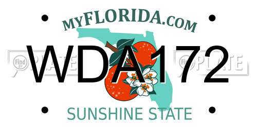 WDA172 Florida License Plate