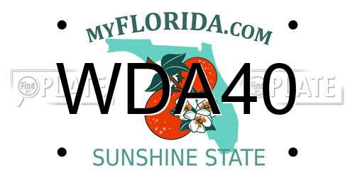 WDA40 Florida License Plate
