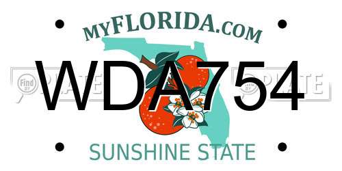 WDA754 Florida License Plate