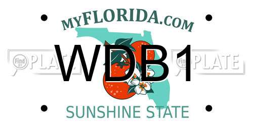 WDB1 Florida License Plate