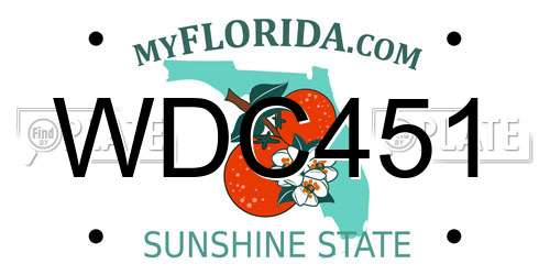 WDC451 Florida License Plate