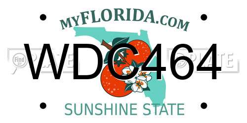 WDC464 Florida License Plate