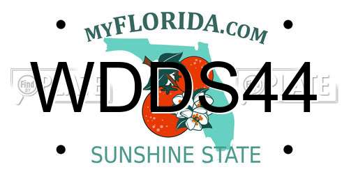 WDDS44 Florida License Plate