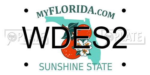 WDES2 Florida License Plate