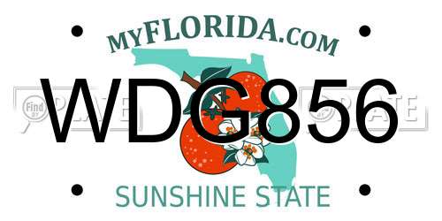 WDG856 Florida License Plate