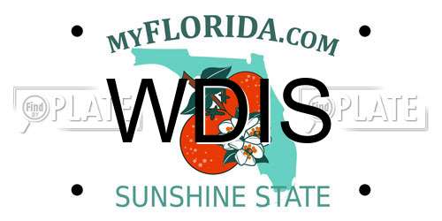 WDIS Florida License Plate