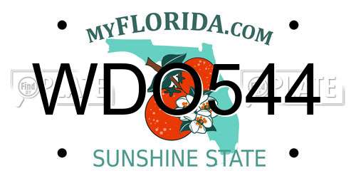 WDO544 Florida License Plate