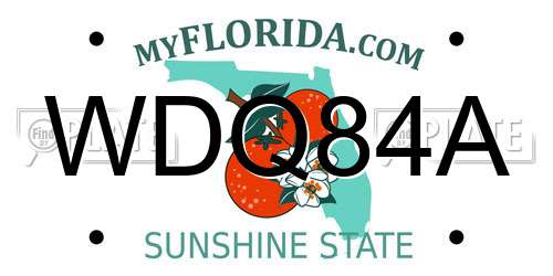 WDQ84A Florida License Plate
