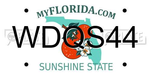 WDQS44 Florida License Plate