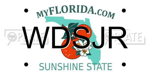 WDSJR Florida License Plate